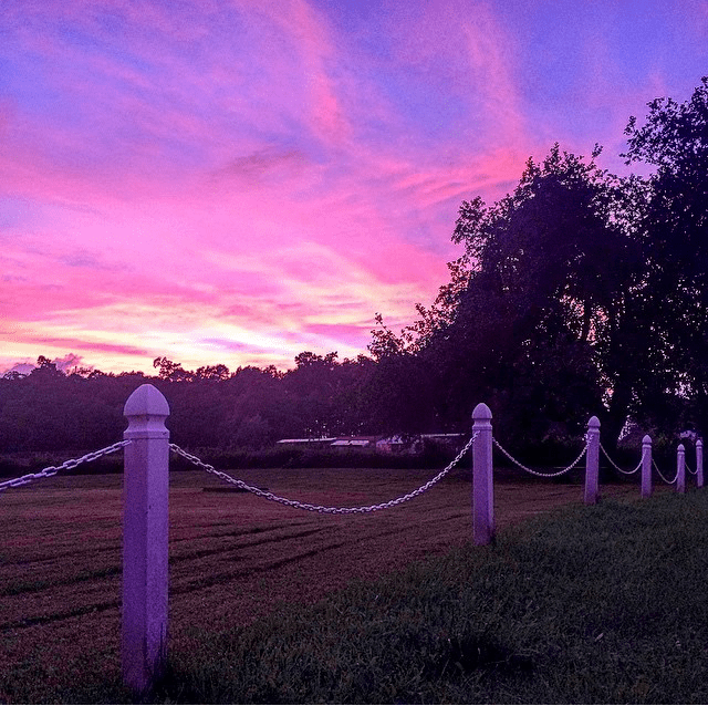 File Dec 06, 1 14 31 PM