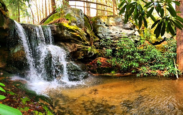 File Dec 06, 12 53 50 PM