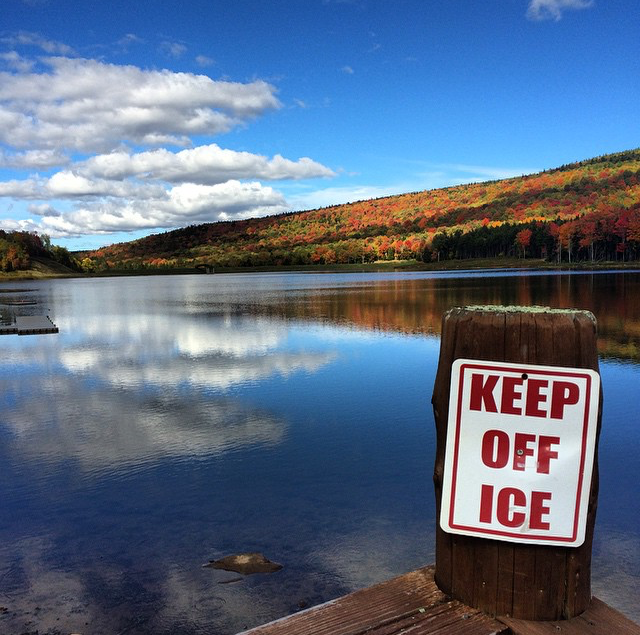 File Dec 06, 12 55 41 PM